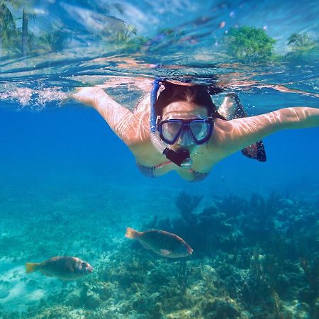 Lovely Hideaway With Pool And White Sand Beach アレナル・デン・カステル エクステリア 写真